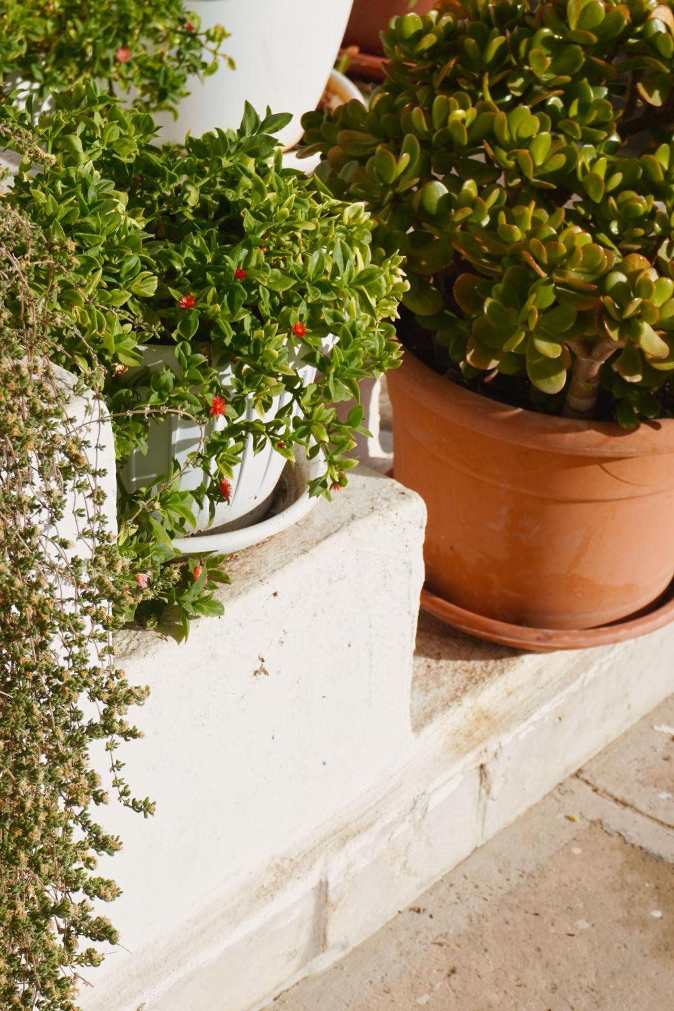 Casa Con Terrazza Villa Polignano a Mare Bagian luar foto